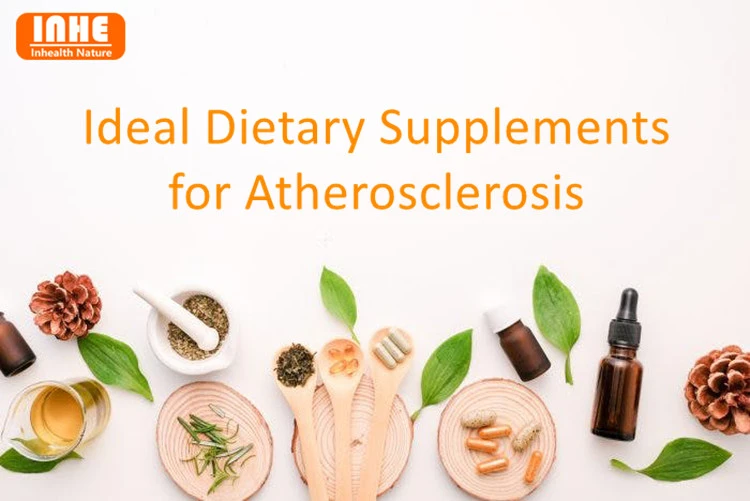 Ideal Dietary Supplements for Atherosclerosis