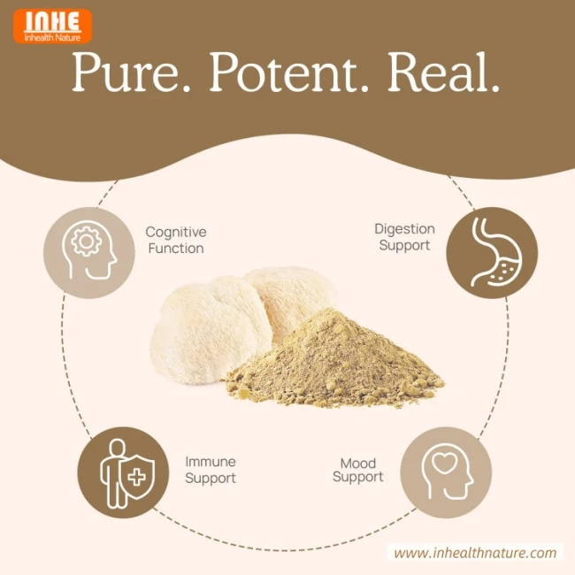 Surprising Health Benefits of Hericium Erinaceus Powder